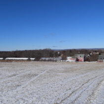 Winter on the farm